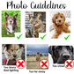 Custom Pet T-Shirt Using Pet Photo